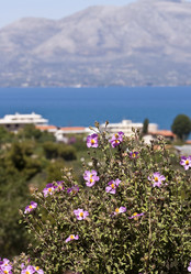 Similar image 5981216