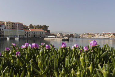 Similar image 5981221