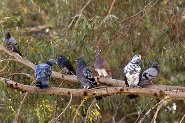 Similar image 5981223