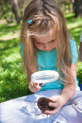 Similar image 5981267