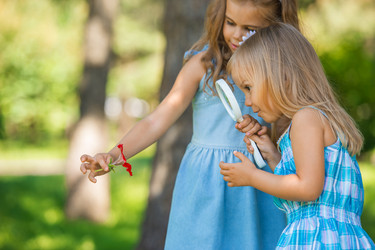 Similar image 5981276