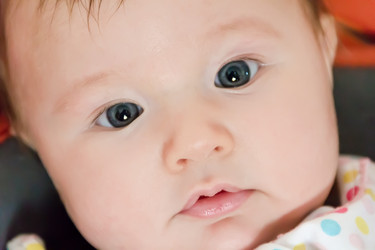 Similar image 5981338