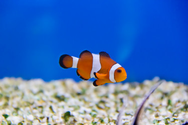 Similar image 5981373