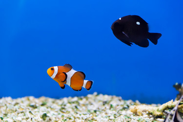 Similar image 5981374