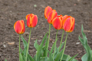 Similar image 5981649