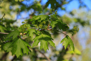 Similar image 5981689