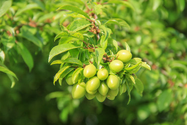 Similar image 5981690