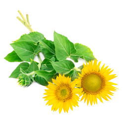 Similar image 5981702