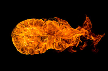 Similar image 5981726