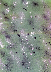 Similar image 5981967