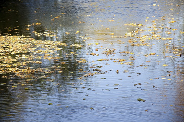 Similar image 5981985