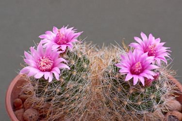 Similar image 5982031