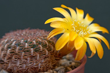 Similar image 5982033