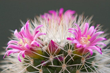 Similar image 5982034