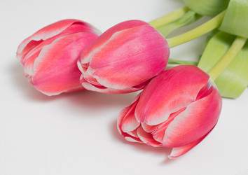 Similar image 5982049