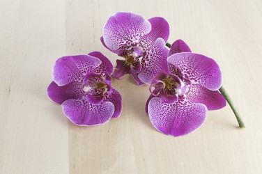 Similar image 5982050