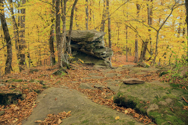 Similar image 5982130