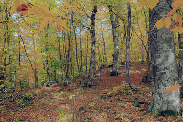 Similar image 5982133