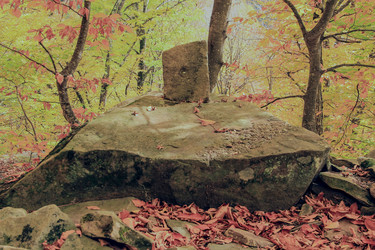 Similar image 5982134