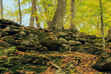 Similar image 5982136