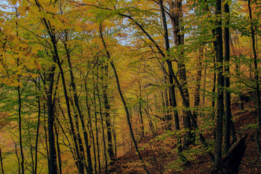 Similar image 5982137