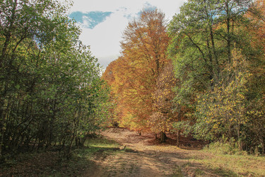 Similar image 5982139