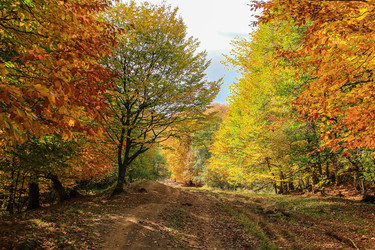 Similar image 5982140