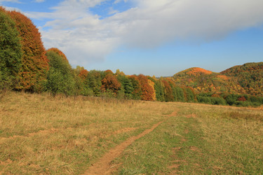 Similar image 5982141