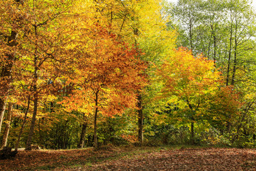 Similar image 5982142