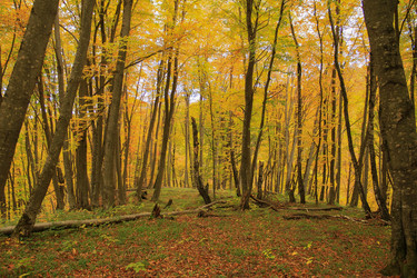 Similar image 5982143