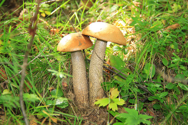 Similar image 5982180