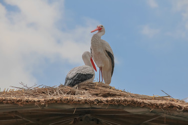 Similar image 5982182