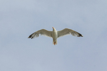 Similar image 5982183