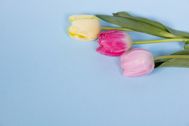 Similar image 5982190