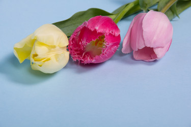 Similar image 5982192