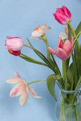 Similar image 5982195