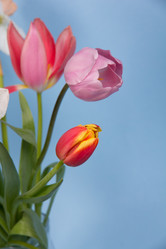 Similar image 5982202