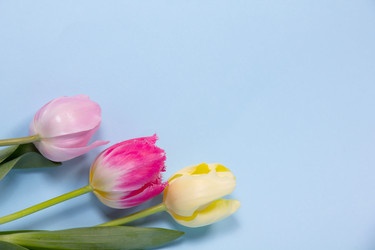 Similar image 5982204