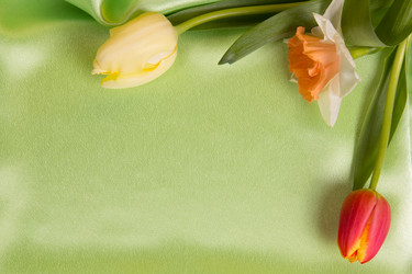 Similar image 5982212