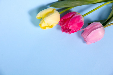 Similar image 5982216