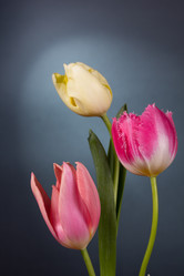 Similar image 5982233