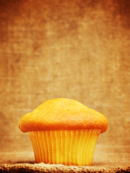 Similar image 5982419