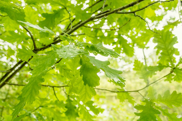 Similar image 5982565