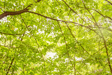 Similar image 5982566