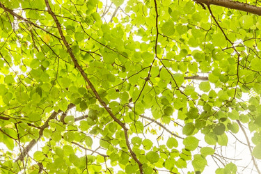 Similar image 5982567