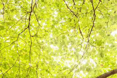 Similar image 5982568