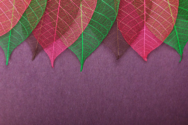 Similar image 5982586