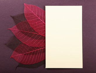 Similar image 5982587