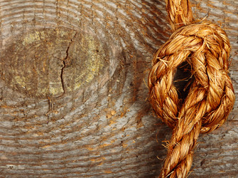 Similar image 5982591