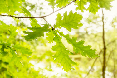 Similar image 5982601